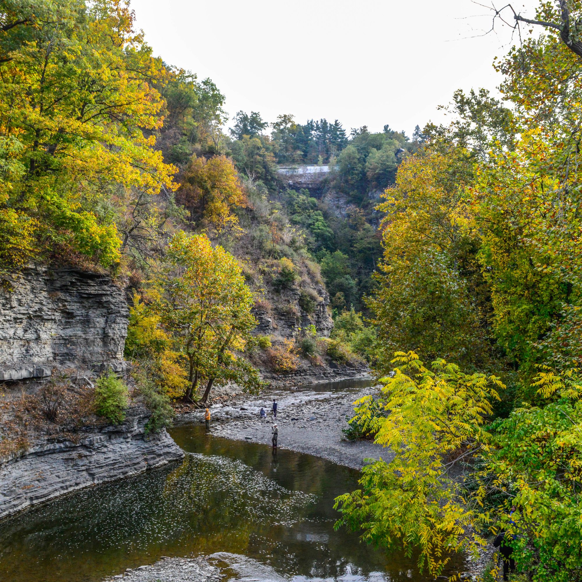 Fall Creek Stock Image - Autumn
